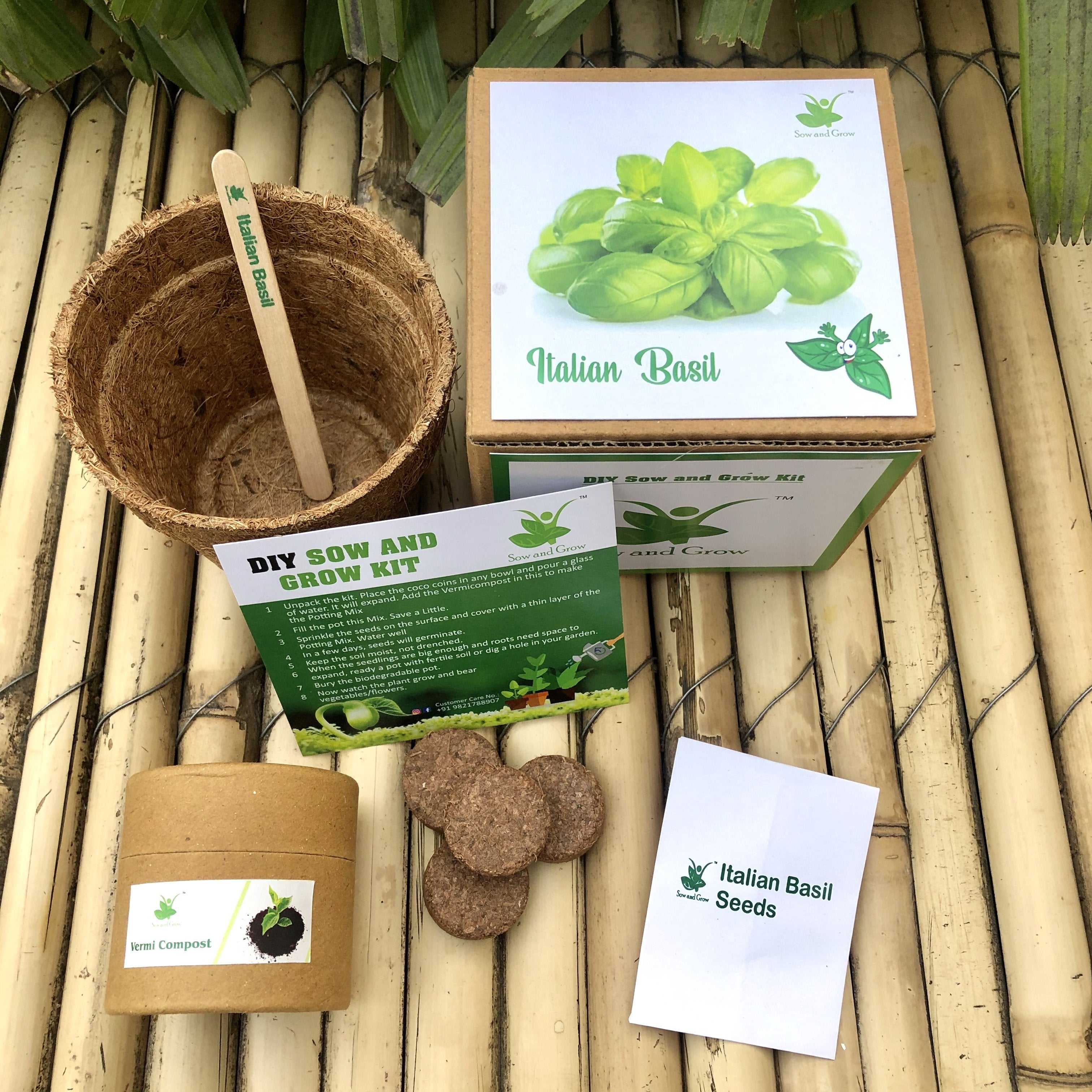 Sow and Grow DIY Gardening Kit of Italian Basil Genovese Grow it